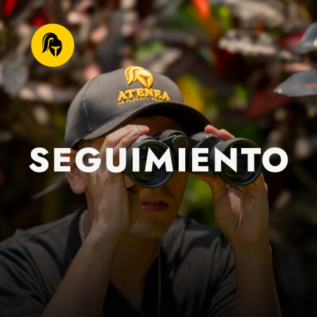 SEGUIMIENTO