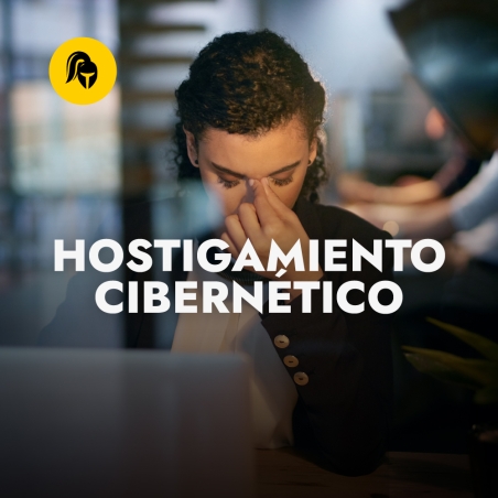HOSTIGAMIENTO CIBERNÉTICO